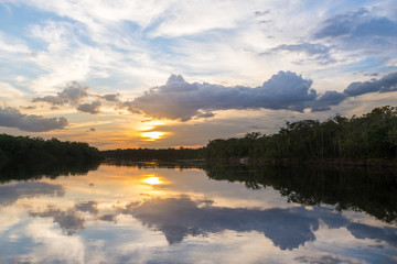 Wall Mural - Reflections of sky and trees on the waters of the Sipapo river, in the amazon jungle.