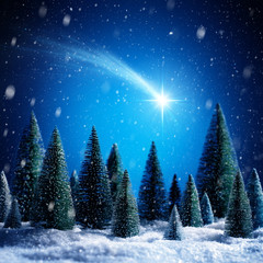 Wall Mural - christmas star shotting in snowy night on silent forest
