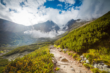 Canvas Print - Tourist trail in high wild mountains. Cloudy foggy blue sky and green hills around. Nature landscape. Travel background. Holiday, hiking, sport, recreation. National Park High Tatra, Slovakia, Europe