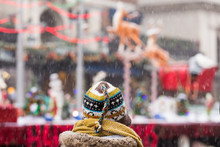 A Woman Wearing A Winter Hat Watching A Christmas Parade