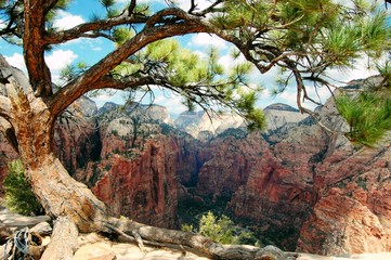 Wall Mural - Angels Landing