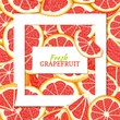 Square white frame and rectangle label on citrus red grapefruit background. Vector card illustration. Tropical fresh juicy pomelo closely spaced background for design of food packaging juice breakfast