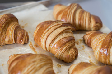 Wall Mural - Freshly baked croissants lies with baking paper