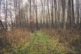 Fototapeta Dziecięca - Barrier To Enter The Forest. Prohibition of entering the forest. Shutter across the road. Gate on the road to the wood