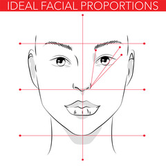 Ideal facial proportions