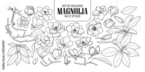Cuadros en Lienzo Set of isolated magnolia in 21 styles