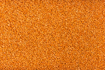 Wall Mural - Red lentils background or texture