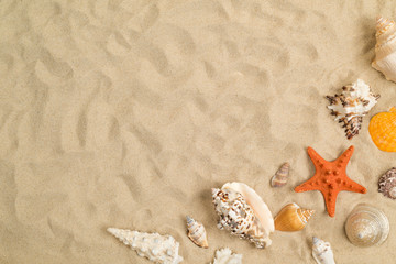 Wall Mural - Seashells on sand with white paper in center