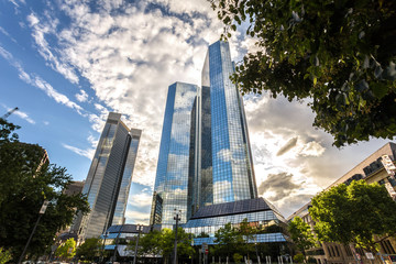 Wall Mural - modern buildings frankfurt germany in the summer