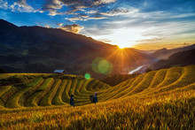 Two Undefined Vietnamese Hmong Are Walking In The Fantastic Landscape Of Rice Field Terrace For Prepare Harvest When Sunrise At Northwest Vietnam. Mu Cang Chai, Yen Bai Province, Vietnam