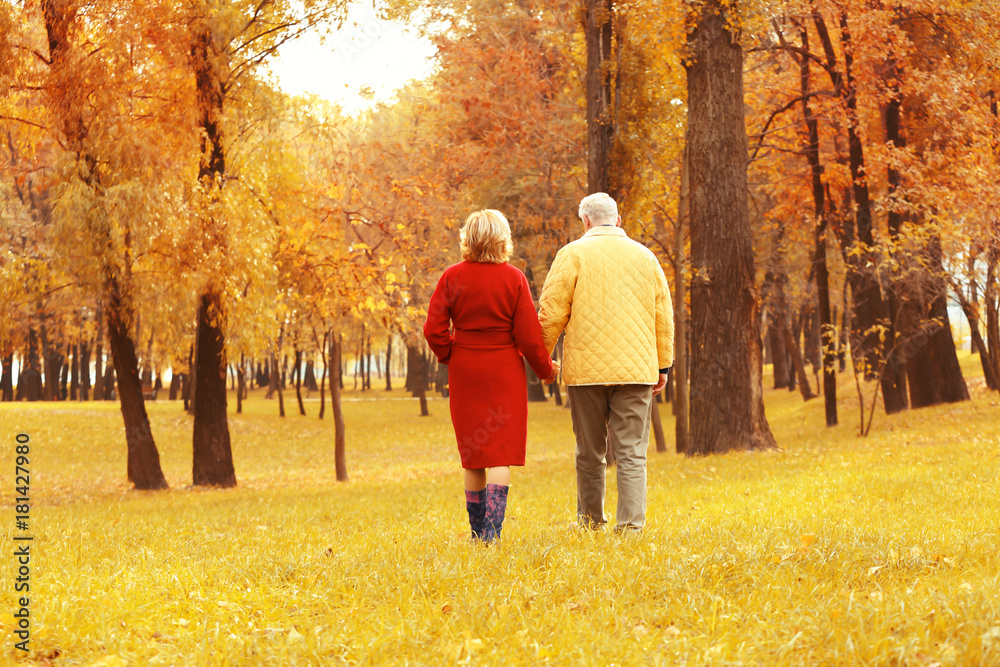 бодрая пожилая пара гуляет в парке