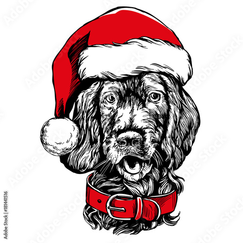 Dog In Santa Stocking Hat Santa Claus Christmas Symbol