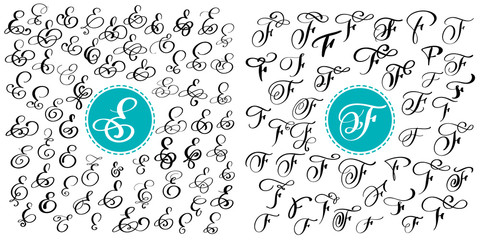 Wall Mural - Set letter E, F. Hand drawn vector flourish calligraphy. Script font. Isolated letters written with ink. Handwritten brush style. Hand lettering for logos packaging design poster.
