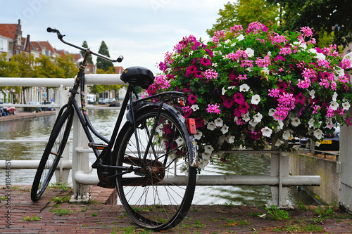  Plakat Amsterdam   rowery-i-kwiaty-w-amsterdamie
