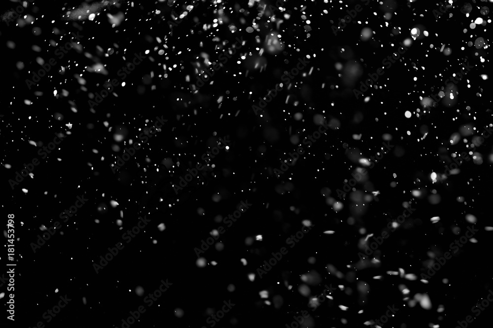 Falling Snow down On The Black Background. - obrazy, fototapety, plakaty 