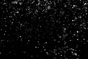 falling snow down on the black background.