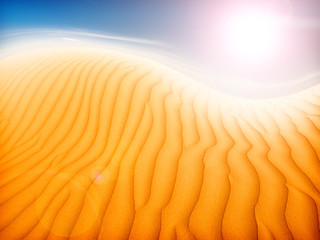 Canvas Print - sand desert landscape