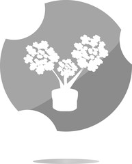 Poster - flowers icon button app web . Trendy flat style sign isolated on white background