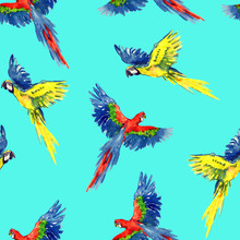 Blue And Yellow And Scarlet Macaw Flying, Seamless Pattern Design, Hand Painted Watercolor Illustration, Green Background