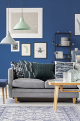 Wall Mural - Gray couch in navy blue room