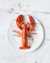 Boiled Lobster On A Plate