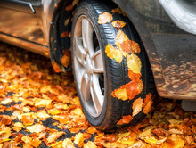 Autumn Leaves On Tire Of Car