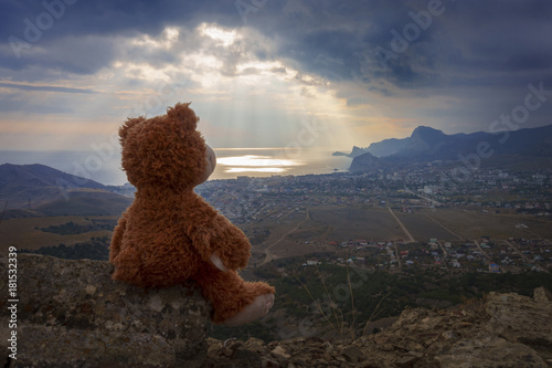 brown Teddy bear sitting on top of a mountain and look at the sea Poster