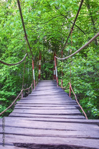 Plakat most w dżungli   drewniany-most-z-metalowymi-zawiasami-przez-roslinnosc-przyrody