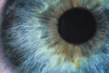 Fototapeta Las - An enlarged image of eye with a blue iris, eyelashes and sclera. the shot is made by a slit lamp with a built-in camera
