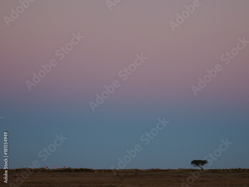 Dégradé De Couleurs Ligne Dhorizon Au Coucher De Soleil