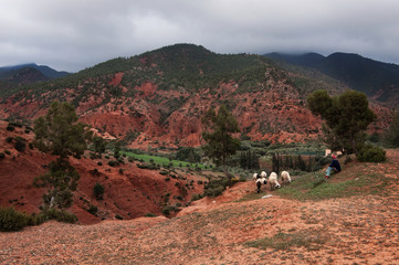 Morocco Landscape 