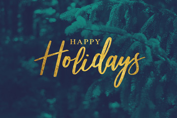 Wall Mural - gold happy holidays script with duotone evergreen branches background