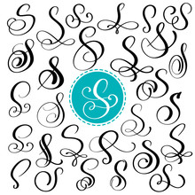 Set Letter S. Hand Drawn Vector Flourish Calligraphy. Script Font. Isolated Letters Written With Ink. Handwritten Brush Style. Hand Lettering For Logos Packaging Design Poster