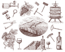 Wine Harvest Products, Press, Grapes, Vineyards Corkscrews Glasses Bottles For Menus And Signage In The Bar. Engraved Hand Drawn In Old Sketch, Vintage Style For Label Or T-shirt.
