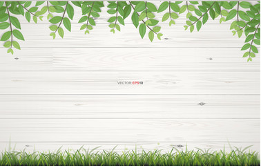 Sticker - Vintage wooden planks texture background with green natural frame of green grass and green leaves. Vector illustration.