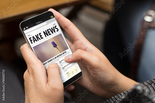 Cuadros en Lienzo street girl cool modern fake news online
