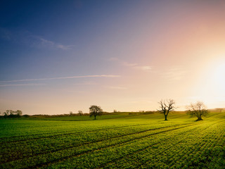 Wall Mural - red, orange and yellow glow of a sunset over green pastures and trees in the english countryside.
