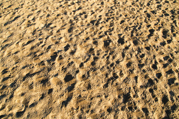 Sticker - Sand in the desert as a background