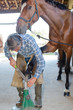 farrier at work