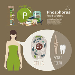 Sticker - Phosphorus. top 10 natural organic products. Fundamentals of healthy eating.