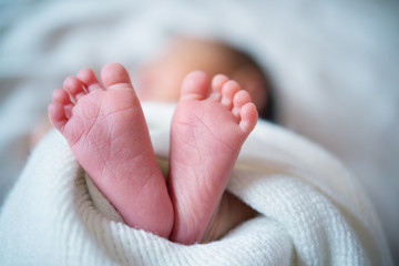 newborn baby feet close up