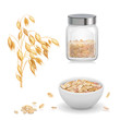 Oats, oat flakes in glass. Oatmeal and muesli in white bowl realistic vector icon