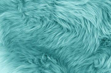 turquoise blue sheepskin rug background