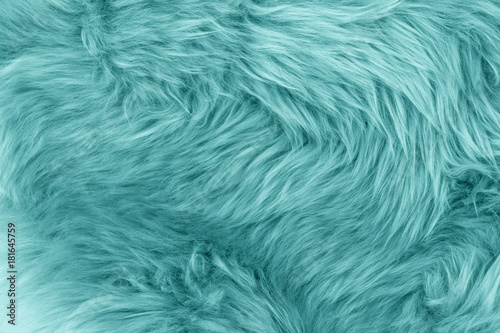 Turquoise blue sheepskin rug background Poster Mural XXL