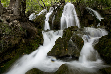  Waterfall in the forest