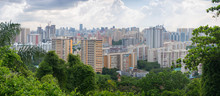 Panorama Of Residential Areas Of Singapore With Greenery In Foreground