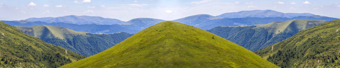 panorama of green hills in summer mountains