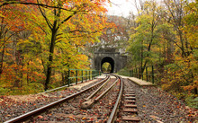 Railway In The Forest