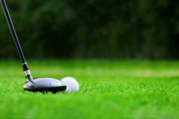 Wall Mural - Golf club and ball on green grass