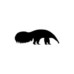 Wall Mural - vector anteater silhouette